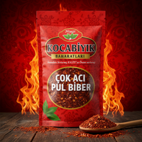 Kocabıyık Ekstra Acı Pul Biber Dökme 1000gr