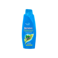 Blendax Arındırıcı Bitki Özlü Bakım 500ml