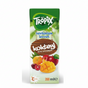 Tropix Karışık Meyve Suyu 200ml