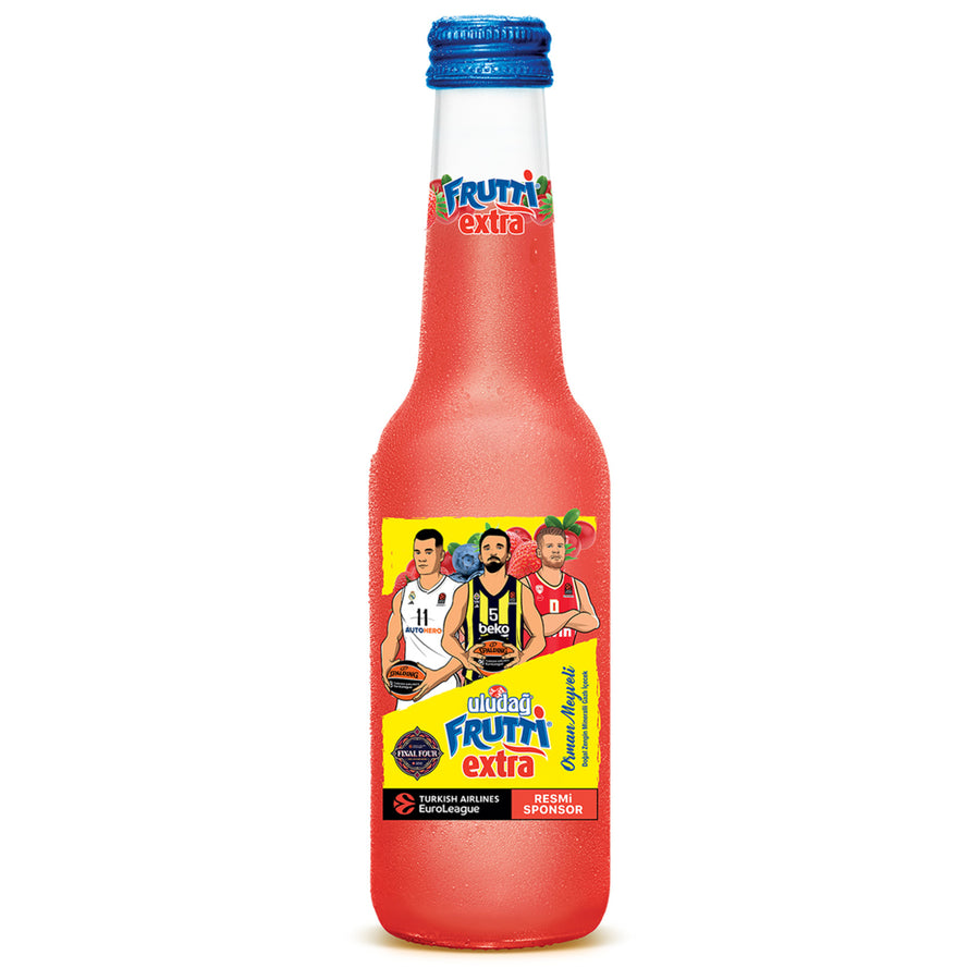 Uludağ Frutti extra Orman Meyveli Maden Suyu 250ml