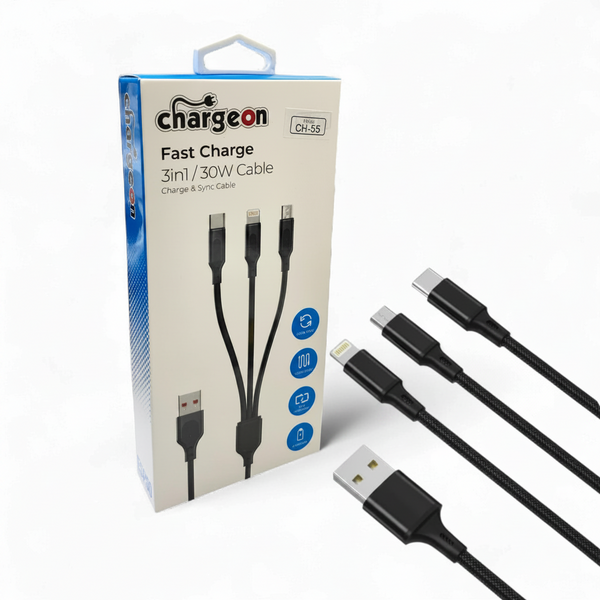 CH55 3 .1 chargeon kablo