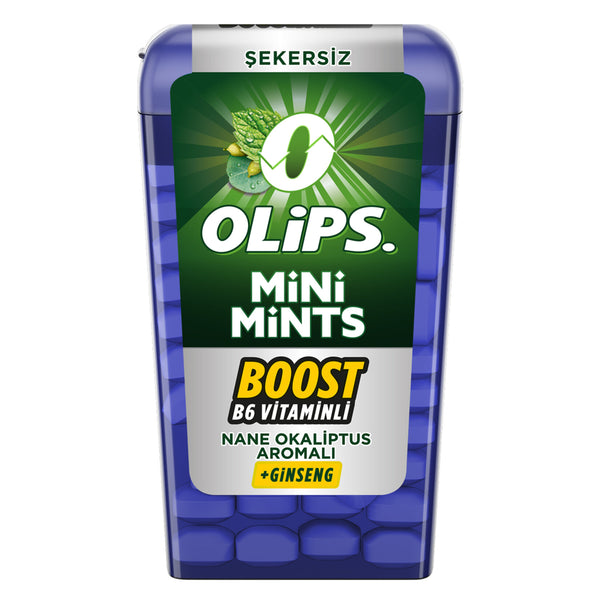 Kent Olips Mini Mints Nane Okaliptus 12,5 g