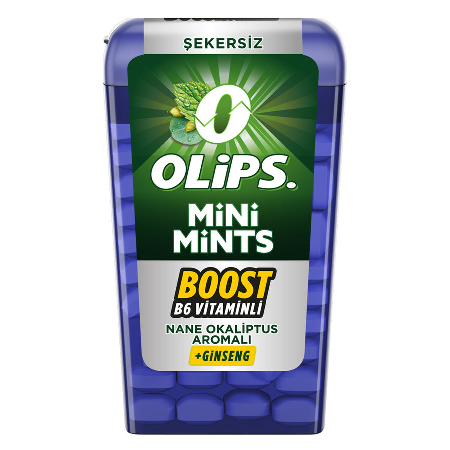 Kent Olips Mini Mints Nane Okaliptus 12,5 g