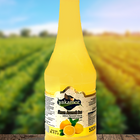 Yakamoz Limon Sosu 500 ml